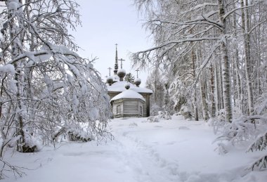 Maselga köyündeki St. Alexander Svirsky Kilisesi. Kargopol bölgesi. Arkhangelsk Oblastı. Rusya