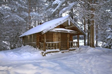 Maselga köyü manzarası. Kargopol bölgesi. Arkhangelsk Oblastı. Rusya