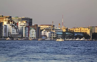 Erkek görüntüsü. Maldivler Cumhuriyeti