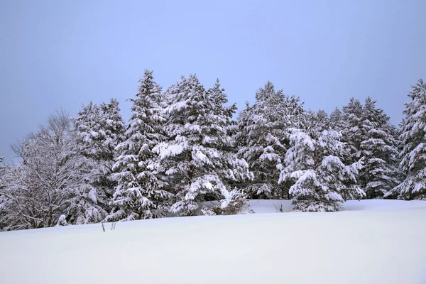 Paysage Près Village Maselga District Kargopol Oblast Arkhangelsk Russie — Photo