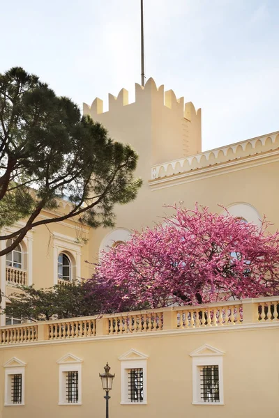 Pałac Księcia Monako Ville Księstwo Monako — Zdjęcie stockowe
