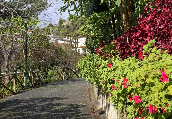 Vista Funchal Isla Madeira Portugal — Foto de Stock