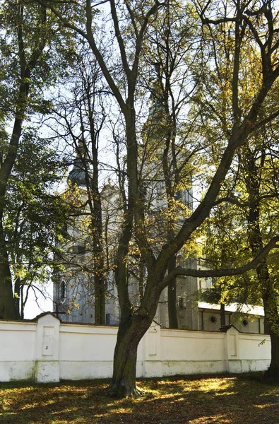 Kerk Van Transfiguratie Paradyz Polen — Stockfoto