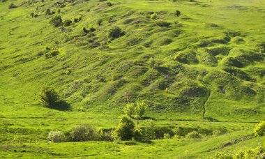 Yelets yakınlarındaki manzara. Lipetsk bölgesi. Rusya