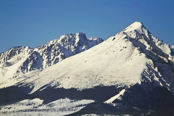 Hautes Tatras Près Stary Smokovec Slovaquie — Photo