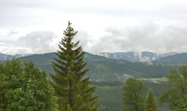 Wisla kasabası yakınlarındaki manzara. Polonya