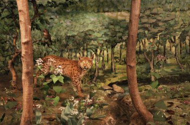 Ustrzyki Dolne 'daki yerel tarih müzesi. Polonya