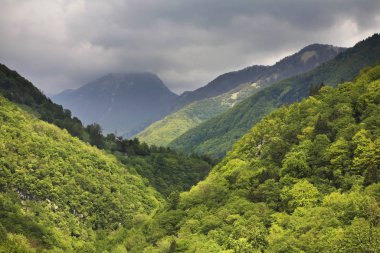 Tolmin yakınlarındaki manzara. Slovenya