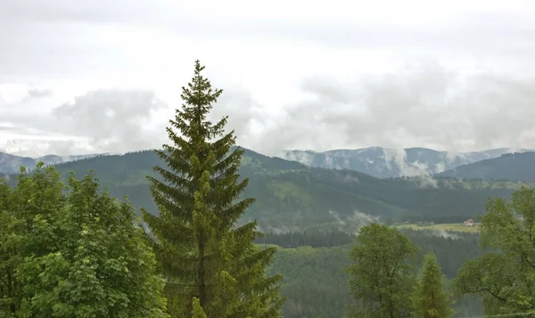 Landschaft Der Nähe Von Wisla Stadt Polen — Stockfoto