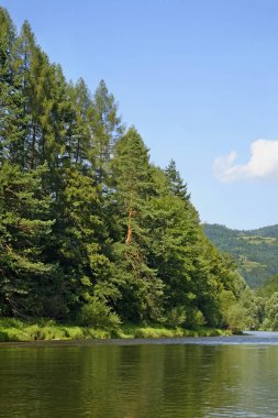 Dunajec nehri manzarası. Polonya
