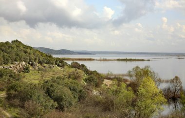 Skadar Gölü manzarası. Karadağ