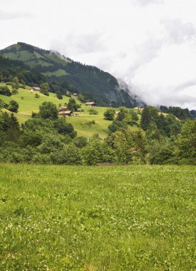 Ringoldingen köyü yakınlarındaki manzara. Bern Kantonu. İsviçre