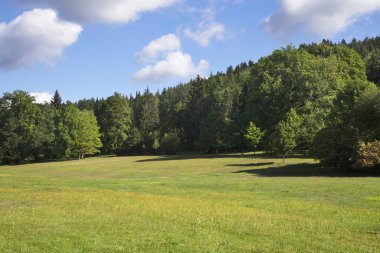 Marianske Lazne 'a park et. Çek Cumhuriyeti