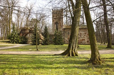 Arkadya parkındaki Aqueduct kalıntıları. Lowicz ilçesi. Polonya