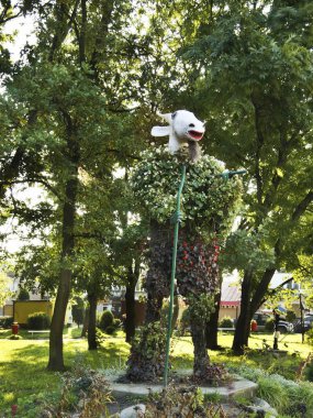 Koziolek Matolek, Pacanow köyünde - Avrupa masallarının başkenti. Polonya