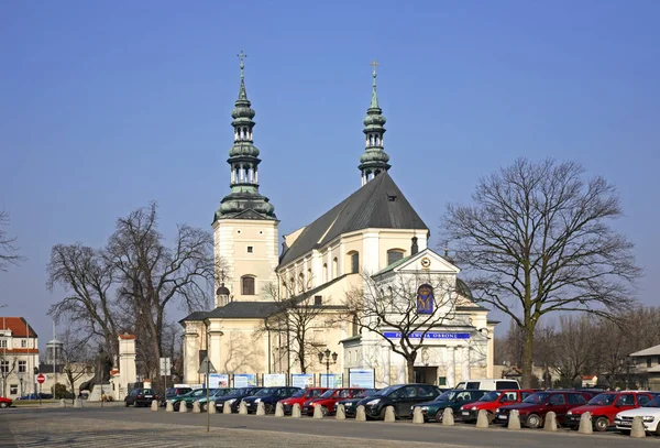 Katedra Wniebowzięcia Najświętszej Maryi Panny Mikołaja Łowiczu Polska — Zdjęcie stockowe