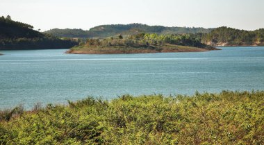 Dalat yakınlarındaki manzara. Vietnam