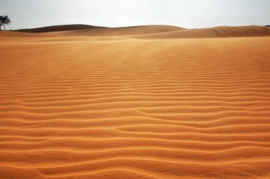 Mui Ne yakınlarındaki kum tepeleri. Vietnam