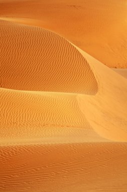 Mui Ne yakınlarındaki kum tepeleri. Vietnam