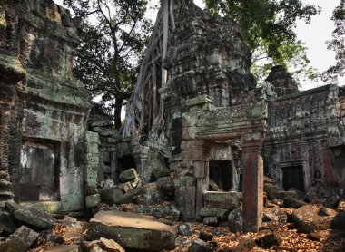Angkor 'daki Ta Prohm tapınağı. Siem Reap bölgesi. Kamboçya