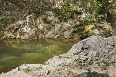 Trinidad yakınlarındaki Doğal Park El Cubano. Küba