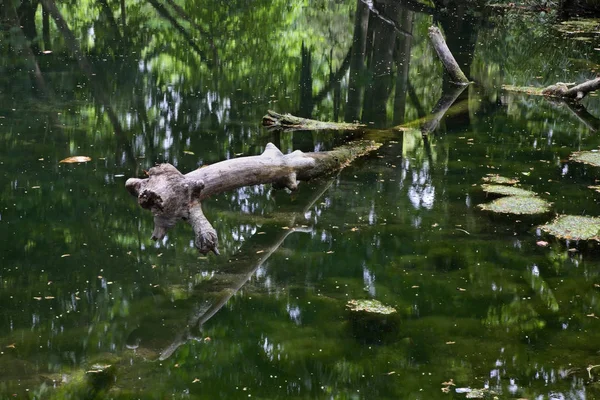 Parque Natural Cubano Cerca Trinidad Cuba — Foto de Stock