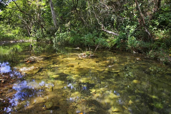 Natural Park Cubano Dekat Trinidad Kuba — Stok Foto