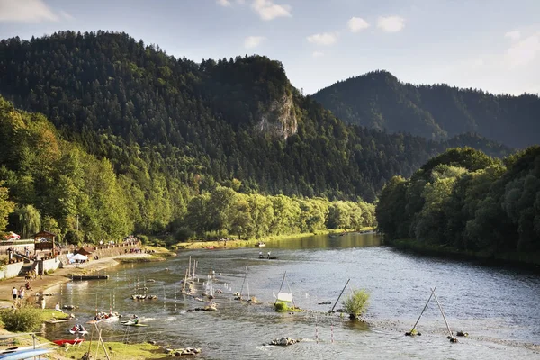 Rivière Grajcarek Szczawnica Comté Nowy Targ Voïvodie Petite Pologne Pologne — Photo