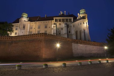 Krakow 'daki Wawel Kalesi. Polonya