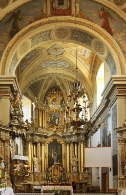 Uherce Mineralne 'deki St. Stanislaus Kilisesi. Polonya