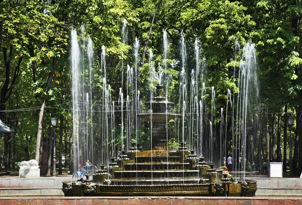 Brunnen Zentralen Park Von Stefan Dem Großen Kischinew Moldawien — Stockfoto