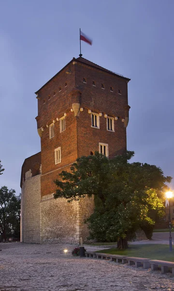 Torre Dos Ladrões Castelo Wawel Cracóvia Polónia — Fotografia de Stock