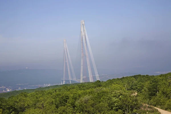 Vladivostok Taki Rus Köprüsü Rusya — Stok fotoğraf