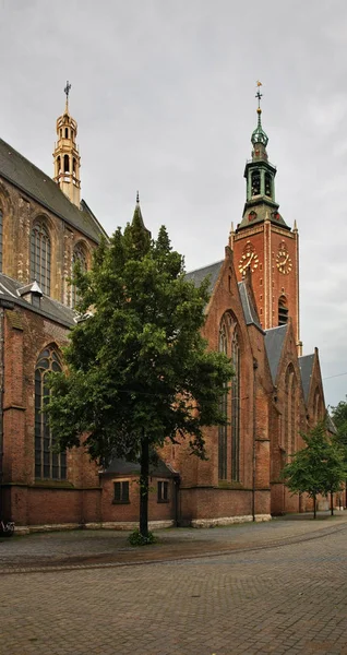 Grote Della Chiesa Sint Jacobus All Aia Den Haag Olanda — Foto Stock