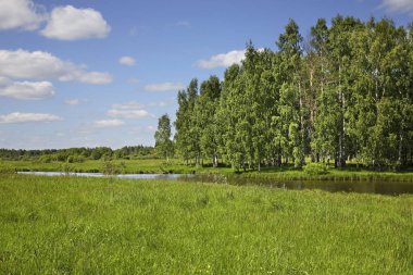 Gzhat Nehri, Gagarin yakınlarında. Smolensk Oblastı. Rusya
