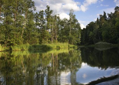 Augustow yakınlarındaki Rospuda Nehri. Polonya