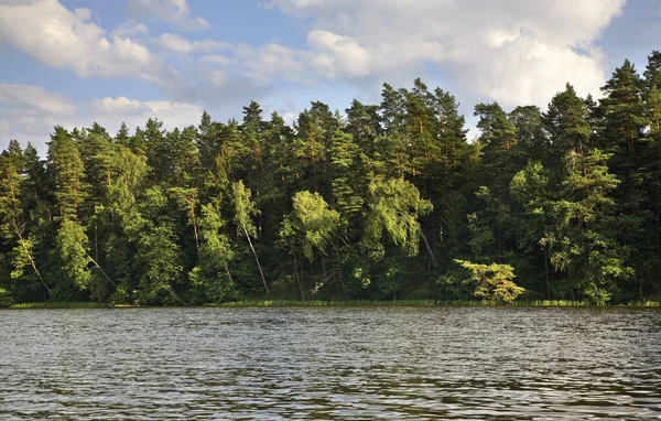 Lago Rospuda Perto Augustow Polónia — Fotografia de Stock