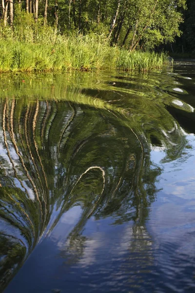 Río Rospuda Cerca Augustow Polonia — Foto de Stock