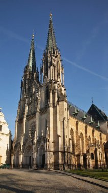 Olomouc 'taki Saint Wenceslas Katedrali. Moravia 'da. Çek Cumhuriyeti