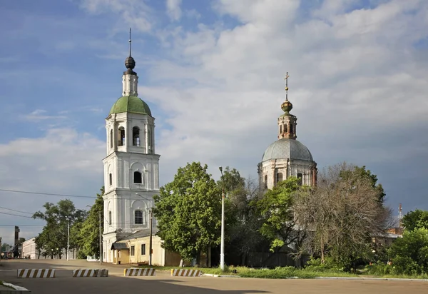Church Trinity Life Giving Zaraysk Russia — 스톡 사진