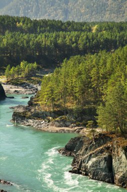 Chemal köyü yakınlarındaki Katun nehri. Altai Cumhuriyeti. Rusya