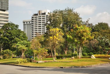 Bangkok 'un Bang Rak bölgesindeki Lumphini Parkı. Tayland Krallığı  
