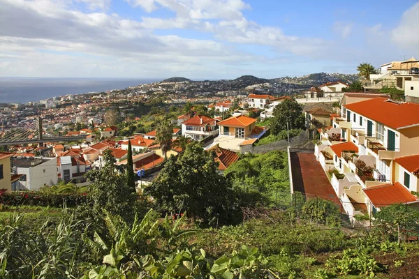 Pohled Funchala Ostrov Madeira Portugalsko — Stock fotografie