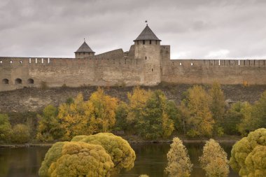 Ivangorod 'daki kale. Rusya
