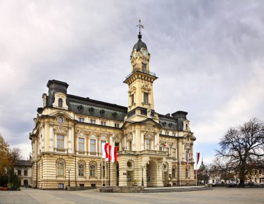 Town hall in Nowy Sacz. Poland clipart