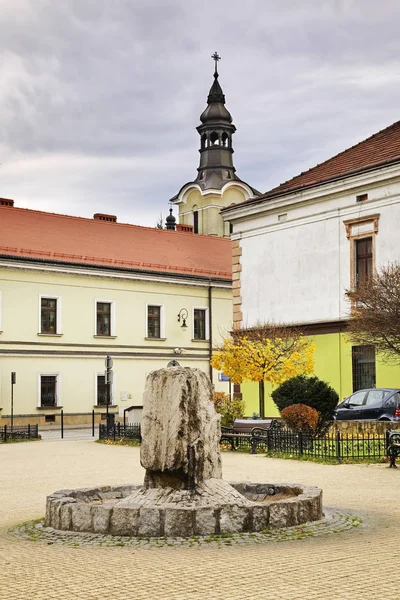 Fontaine Sur Place Mai Nowy Sacz Pologne — Photo