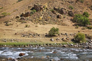 Turgen Vadisi 'ndeki Turgen Nehri manzarası. Kazakistan