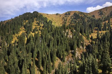 Medeo Vadisi manzarası. Kazakistan 