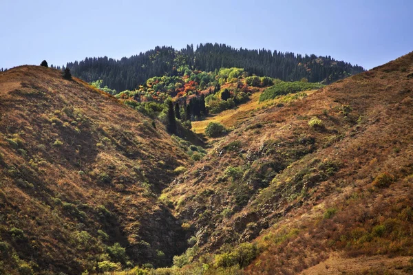 Vista Turgen Gorge Kazajstán — Foto de Stock