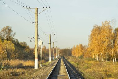 Nerekhta 'ya park et. Kostroma oblast. Rusya
